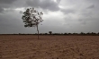 ভারতে ৫ বছরের মধ্যে সবচেয়ে কম বৃষ্টিপাত, কৃষি উৎপাদন নিয়ে শঙ্কা