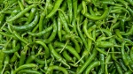 Green chilli hottest ever in Dhaka